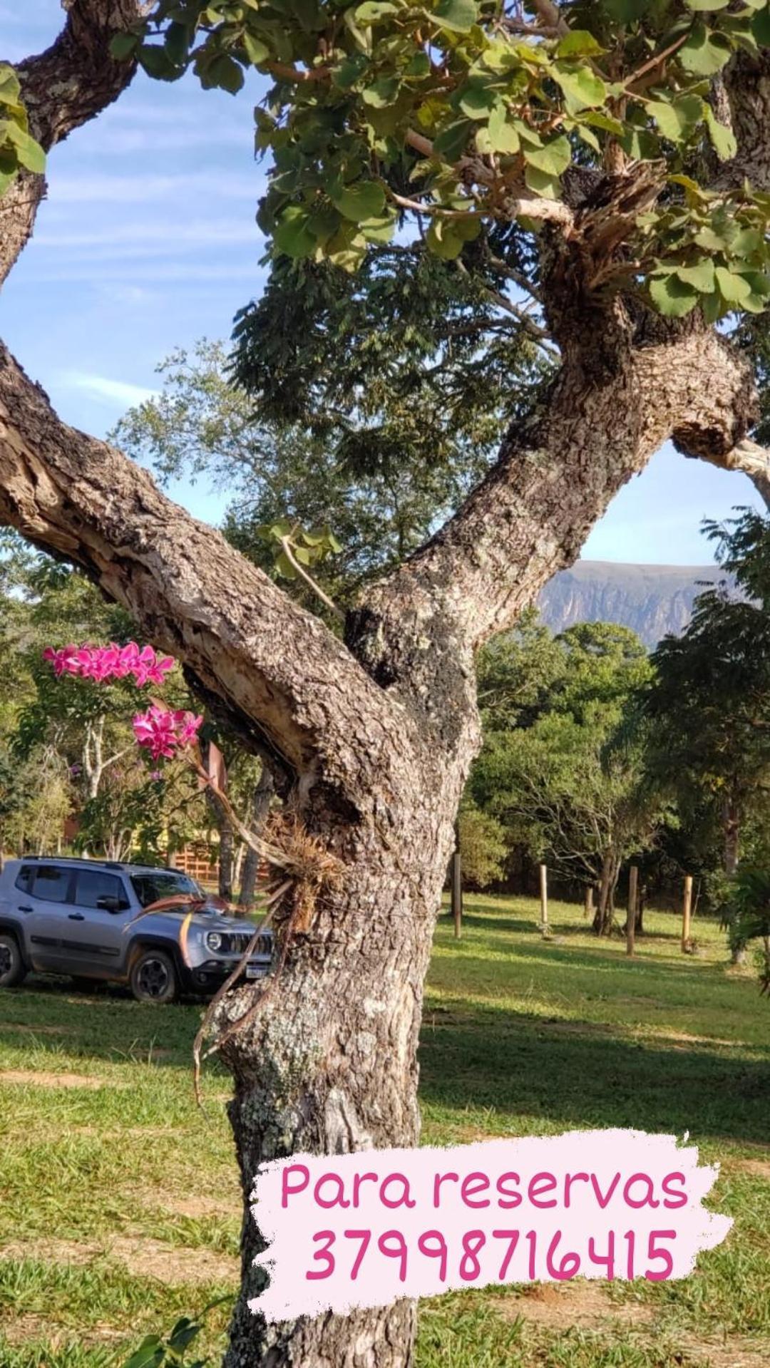 Pousada Aguas Da Canastra Vargem Bonita Exterior foto